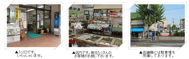 山田餅島田店店舗写真
